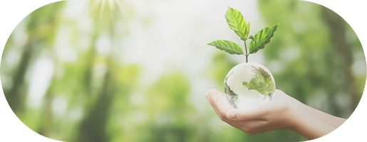 Éco-Friendly Éco-Friendly