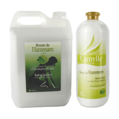 Brume de hammam eucalyptus/menthe - 2 formats au choix
