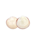Coquillages de massage visage x2
