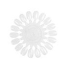 Marguerite transparente 18 nuances