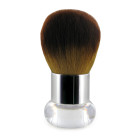 Pinceau dépoussiérant